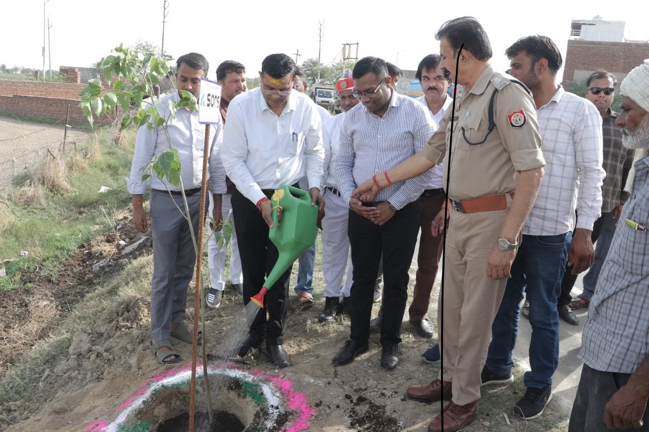 Green Plantation & Sustainability Efforts