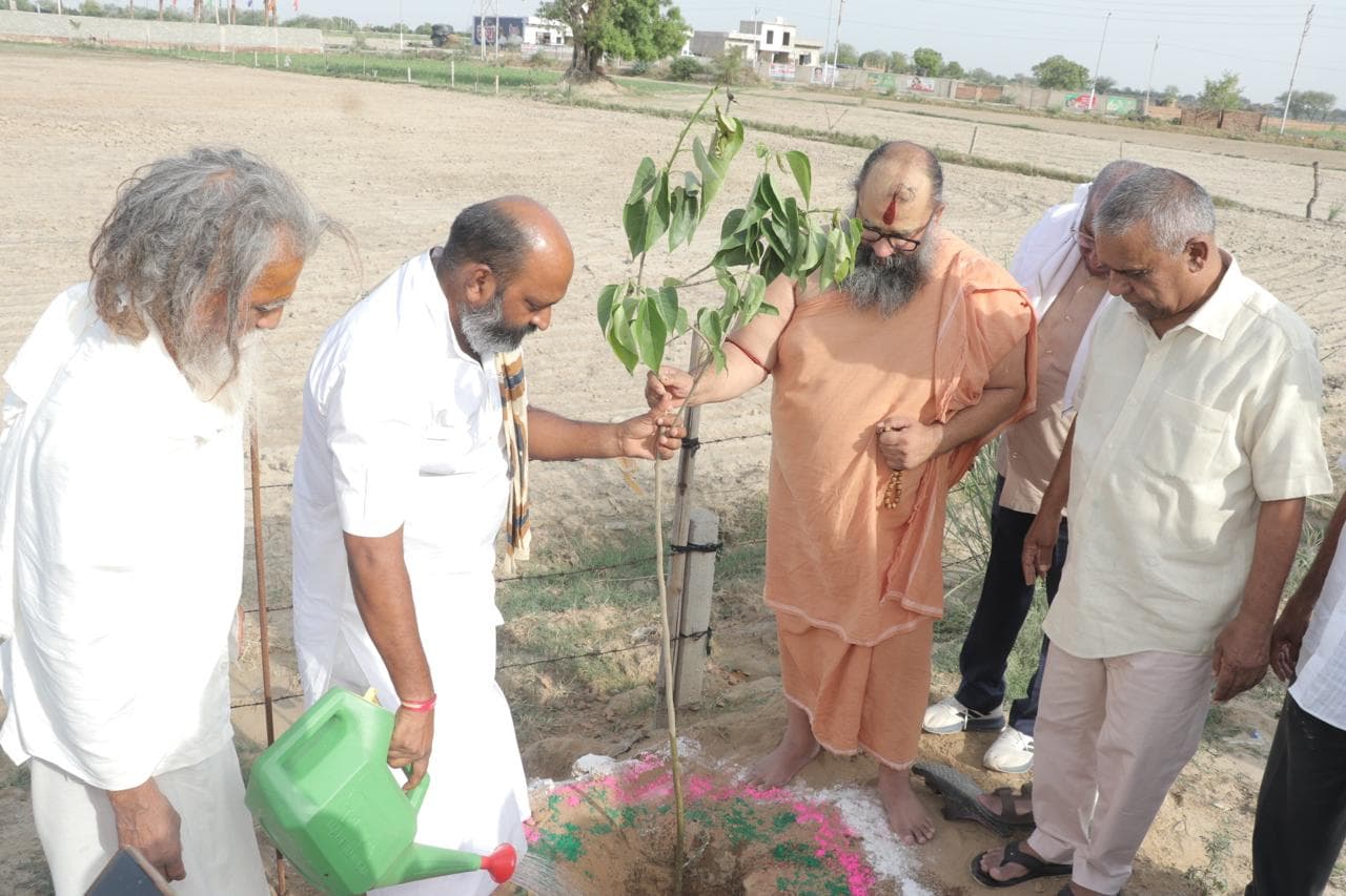 Green Plantation & Sustainability Efforts