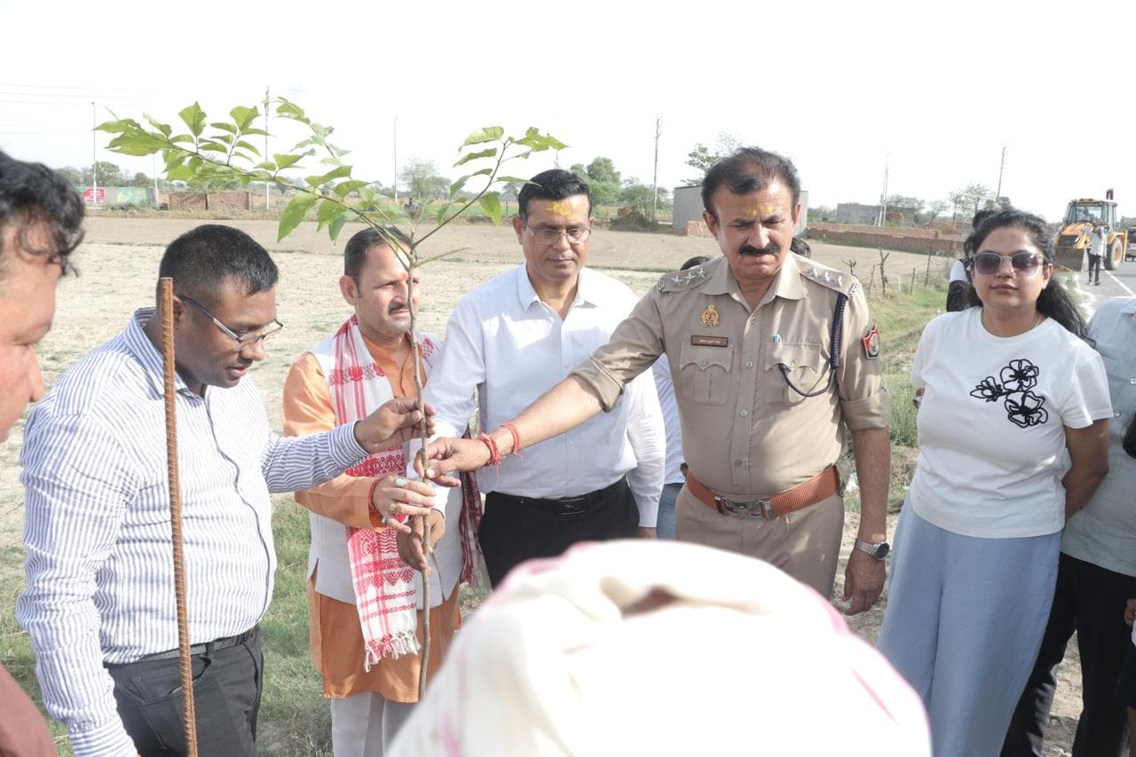 Green Plantation & Sustainability Efforts